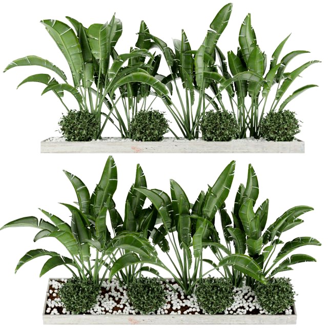 collection plant vol 109