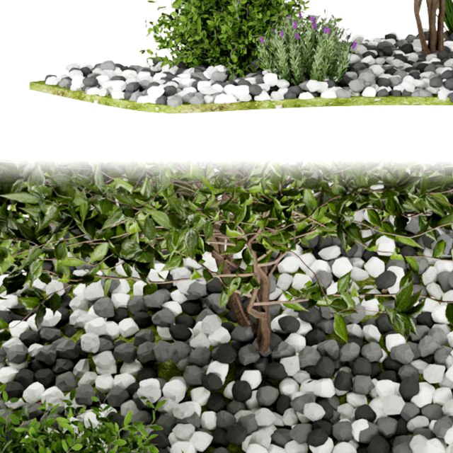 collection plant vol 110