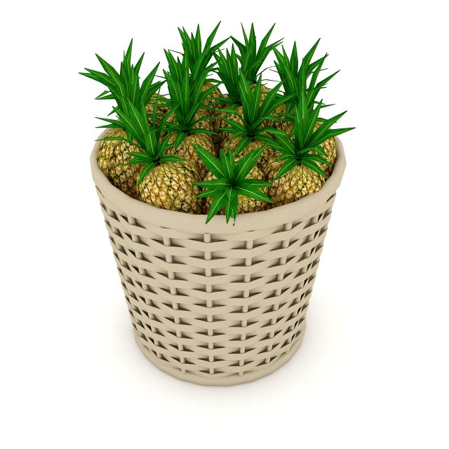 basket ananas market sale