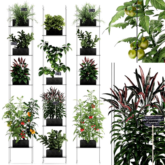vertical garden for the kitchen 72