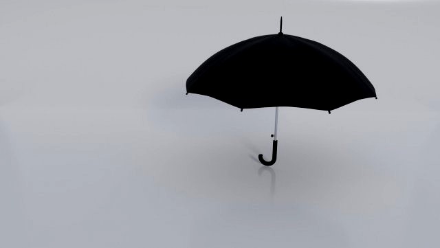 black umbrella