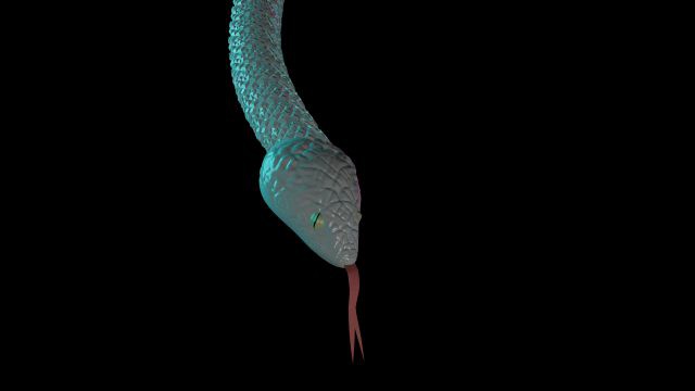 snake