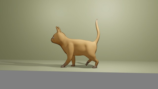 Gato
