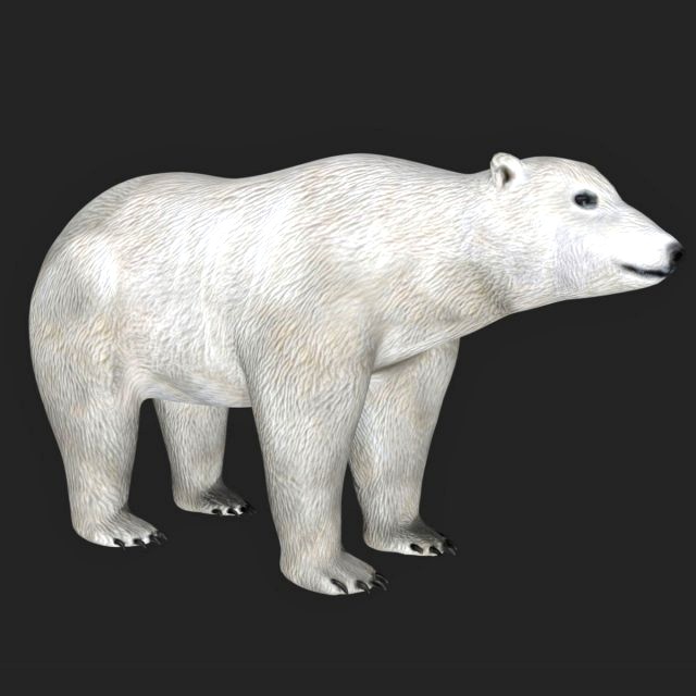 rigged polar bear