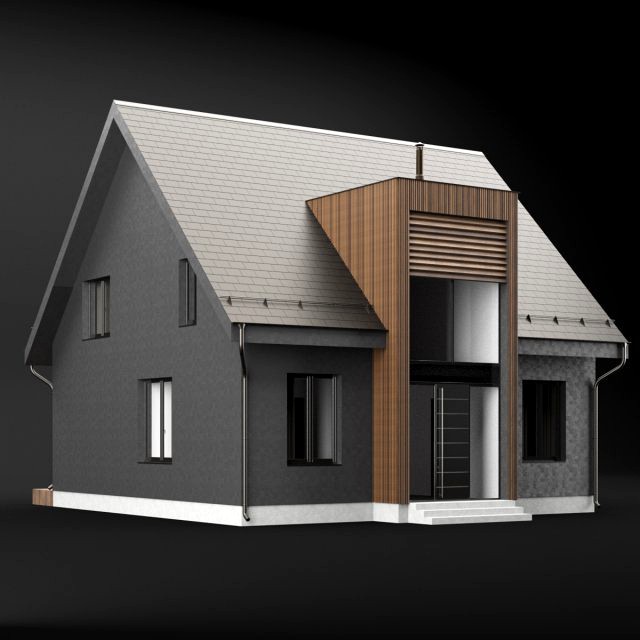 modern house 05