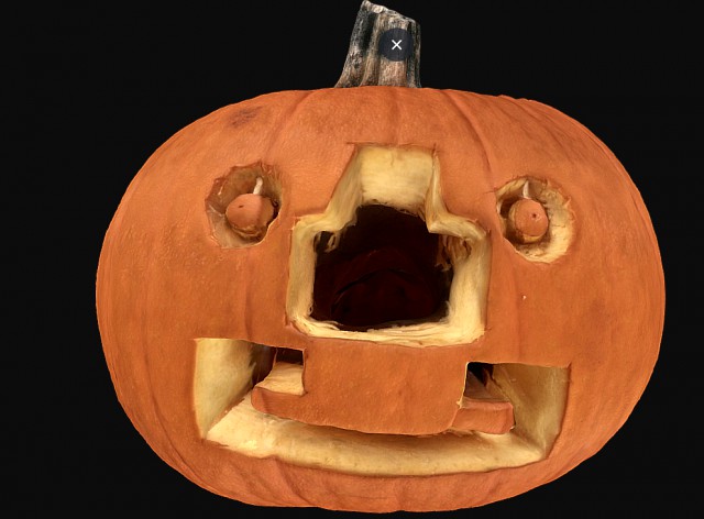 pumpkin halloween