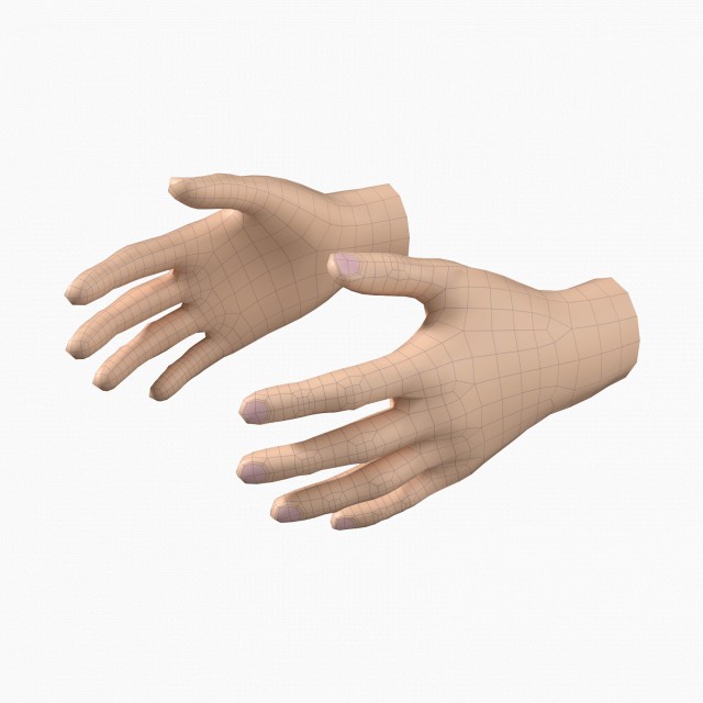 female hand base mesh 05