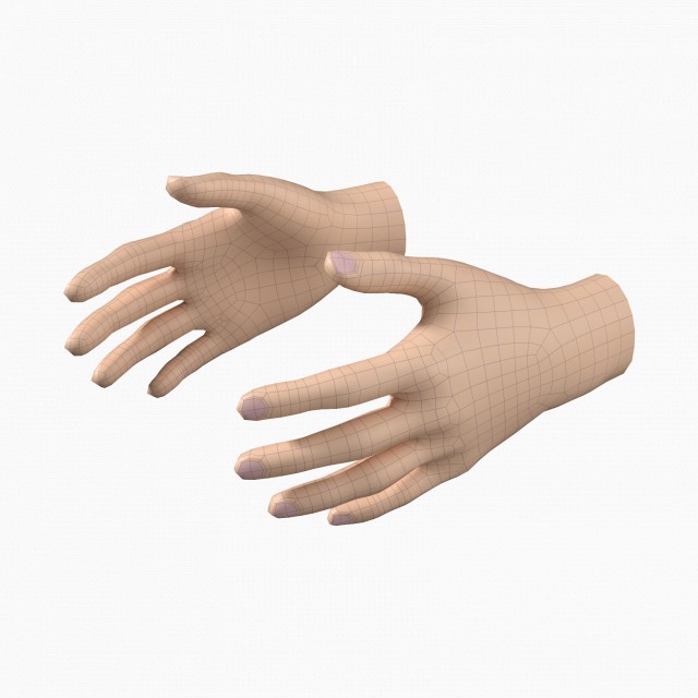 female hand base mesh 03