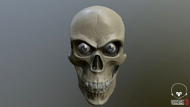 skull