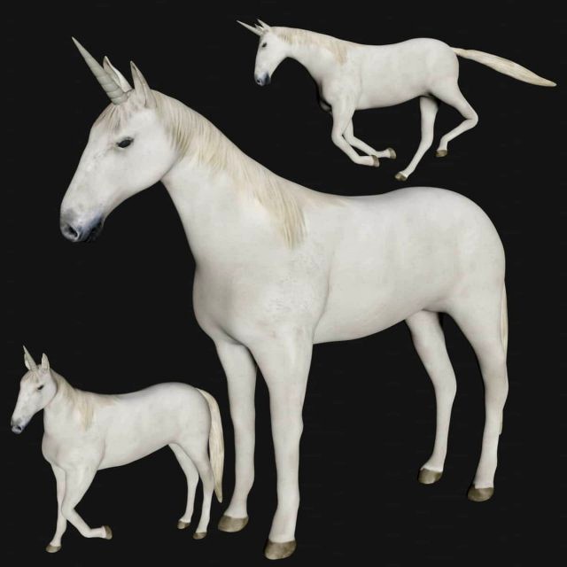 unicorn white horse fantasy monster mythological creature