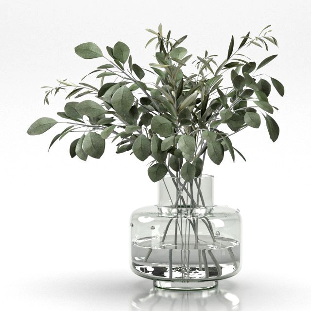 bouquet of eucalyptus and olive branch