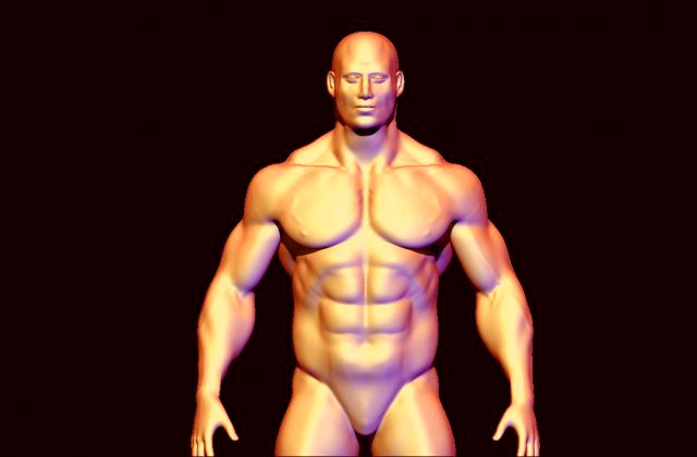 base mesh body builder