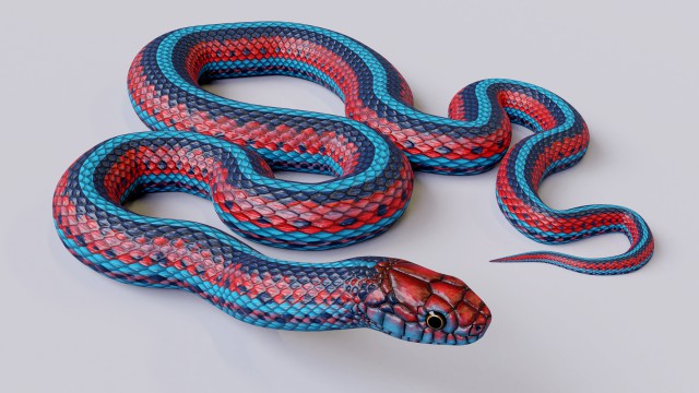 san francisco garter snake - animated