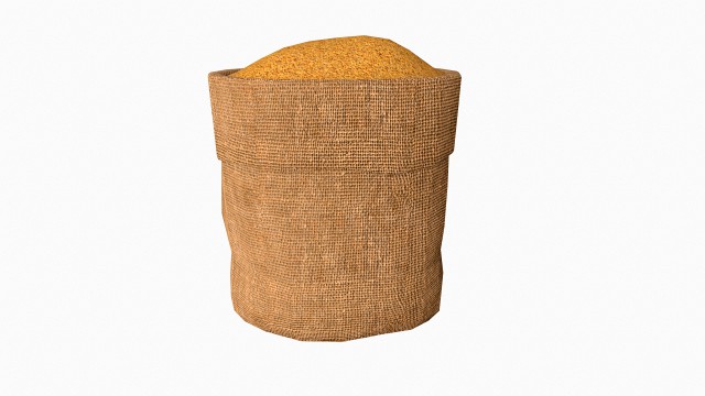 paddy in sackcloth