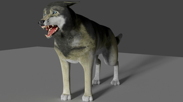 grey realistic wolf
