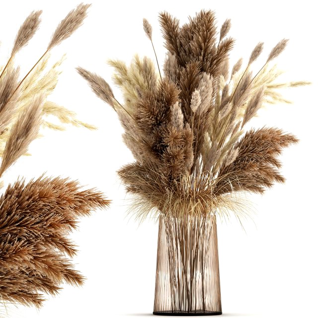 bouquet of dried white reeds in a vase 146