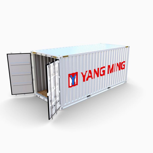 20ft shipping container yang ming