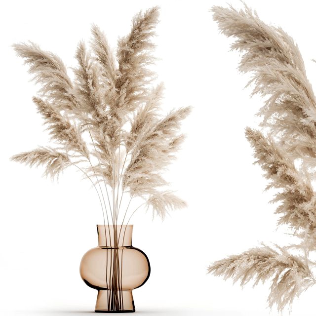 bouquet of dried white reeds in a vase 145