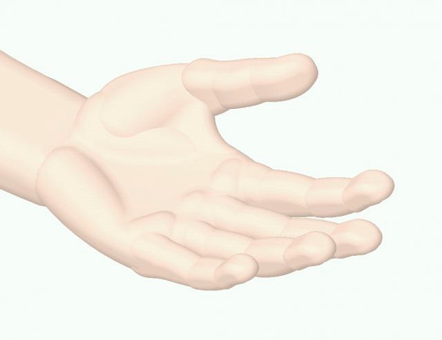 human-left-hand