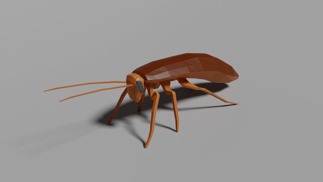 low-poly roach