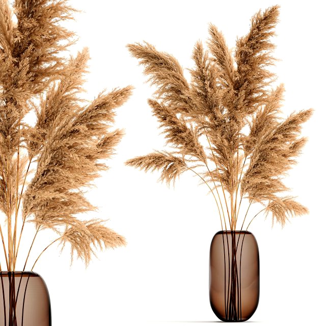 bouquet of dried reeds in a vase 140