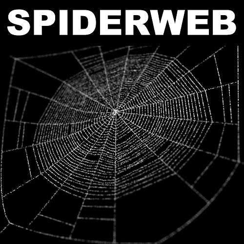 Spiderweb 1