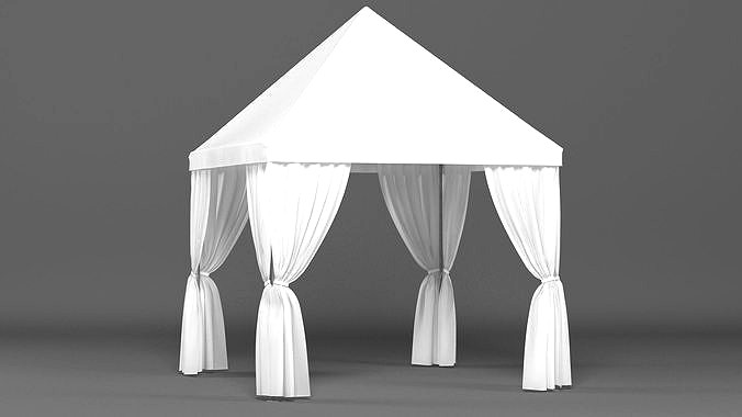 Party Tent 7