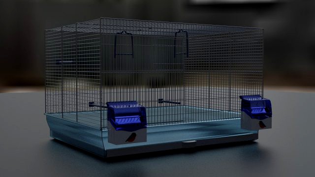 of a cage for parrots