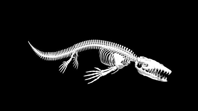Mosasaurus skeleton