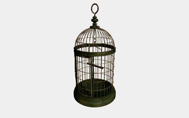 old birdcage