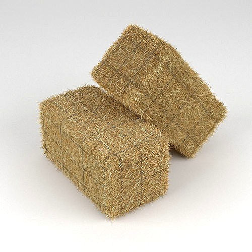 Hay Bale