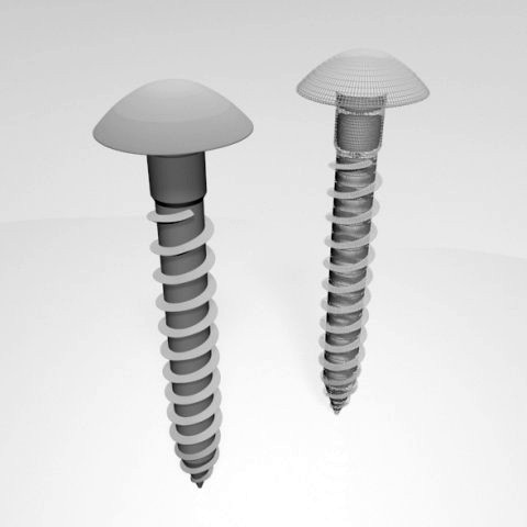 drywall screw 05