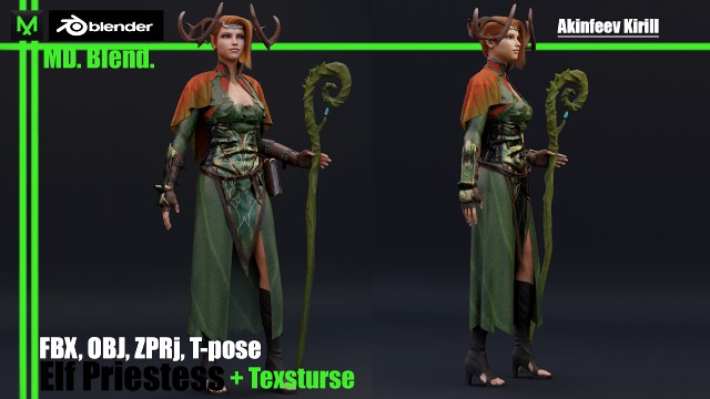 elf priestess 2