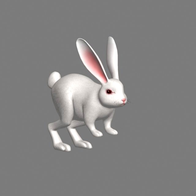 cartoon rabbit