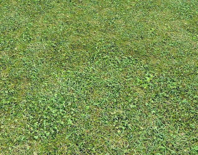 Forest Terrain Pack 2