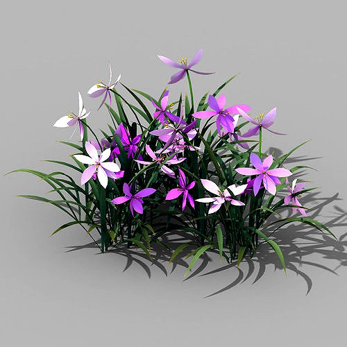 Shanglin Yuan - plants - flowers 03