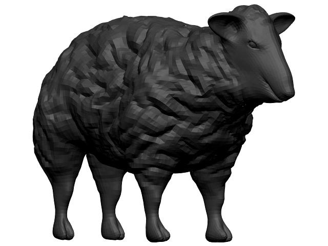 Sheep