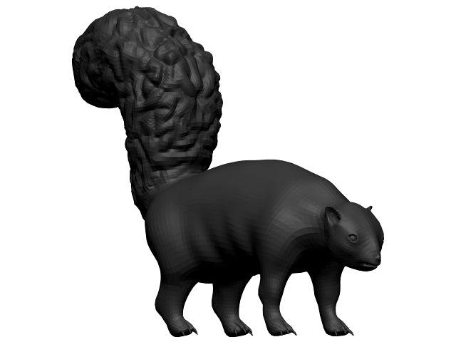 Skunk