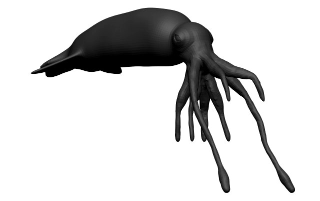 Squid