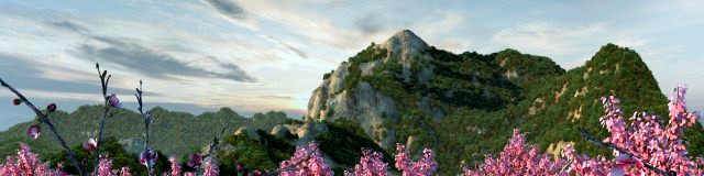 lotus mountain