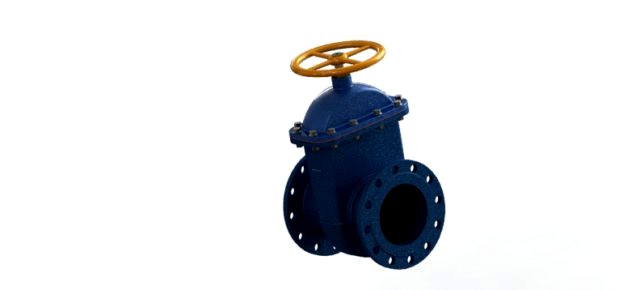 gate valve