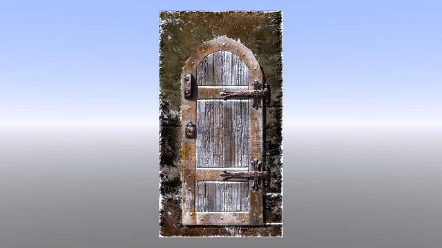 medieval dungeon or castle door