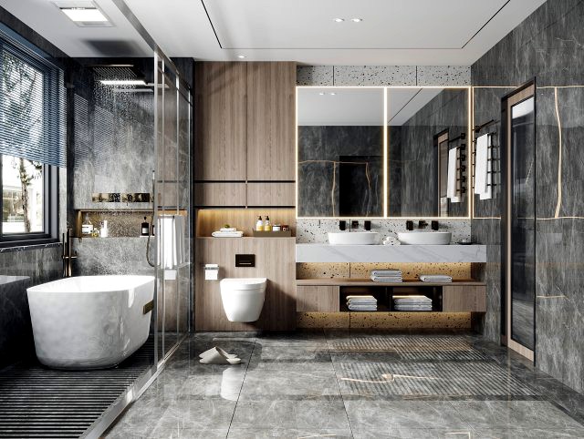 modern toilet bathroom