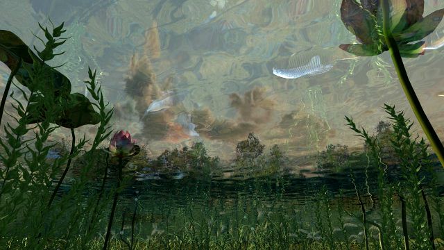 underwater view