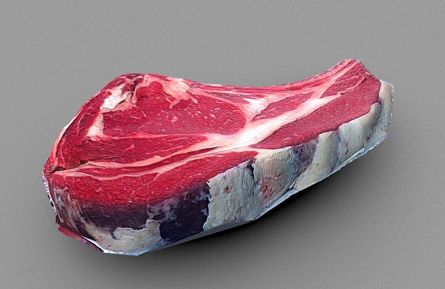 piece of beef steak