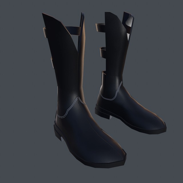 female boots