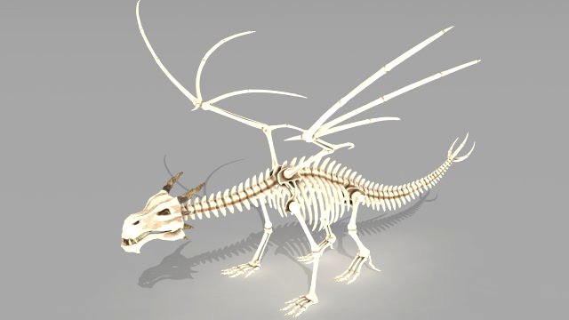 dragon skeleton