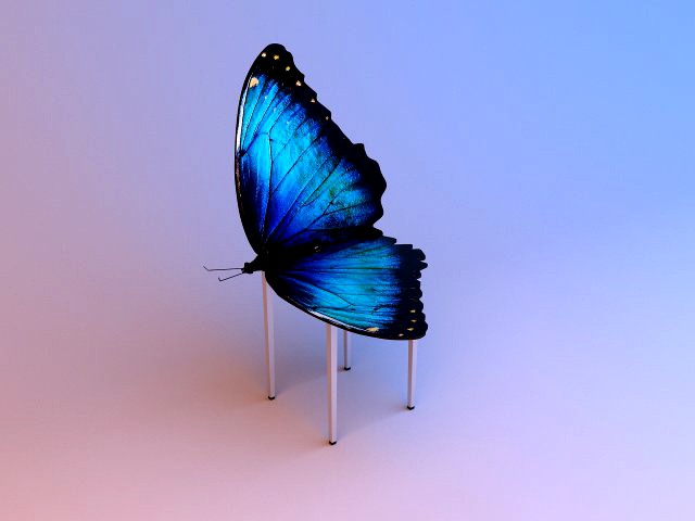 unique chair butterfly