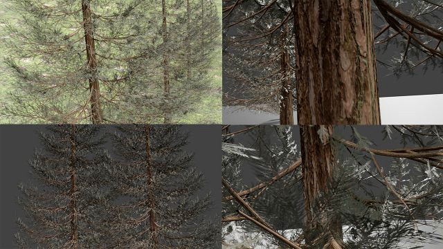 set of realistic fir trees