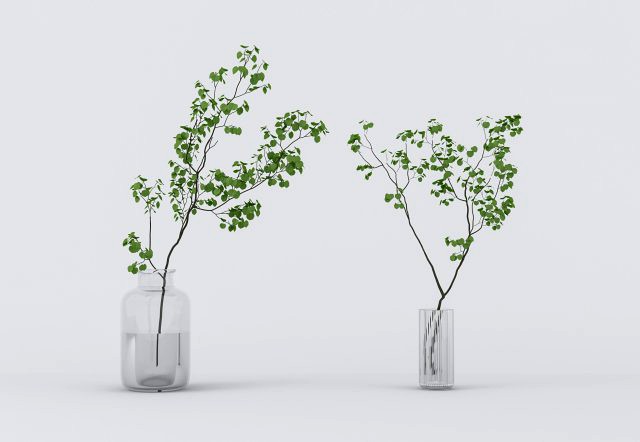 potted plants